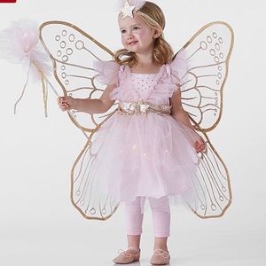 Pottery Barn Light Up Girls Fairy Costume